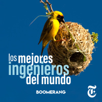 Episodio 10: Los mejores ingenieros del mundo