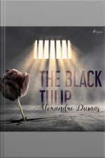 The Black Tulip