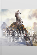 The Call Of The Wild