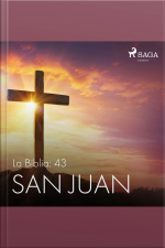 La Biblia: 43 San Juan