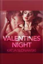 Valentines Night - Erotic Short Story