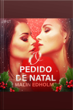 O Pedido De Natal - Conto Erótico