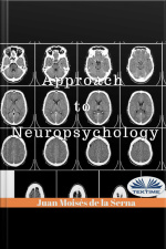 Approach To Neuropsychology