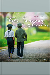 Tom Sawyer, Detective