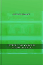 Lalbero Del Riccio
