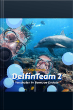 Verschollen Im Bermuda-dreieck - Delfinteam 2 (ungekürzt)