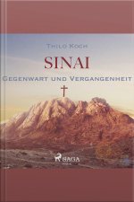 Sinai - Gegenwart Und Vergangenheit (ungekürzt)