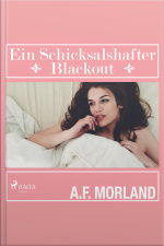 Ein Schicksalshafter Blackout (ungekürzt)