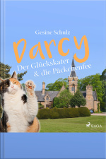 Darcy - Der Glückskater  Die Päckchenfee (ungekürzt)