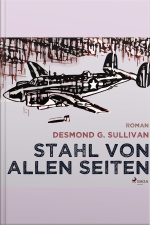 Stahl Von Allen Seiten - Fliegergeschichten 6 (ungekürzt)