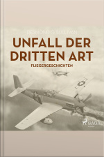 Unfall Der Dritten Art - Fliegergeschichten (ungekürzt)