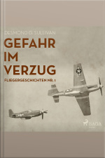 Gefahr Im Verzug - Fliegergeschichten, Nr. 1 (ungekürzt)