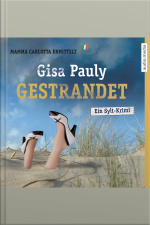 Gestrandet: Ein Sylt-krimi