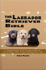The Labrador Retriever Bible - A Beginners Training Manual With Tips And Tricks For An Untrained Puppy To Well Behaved Adult Dog