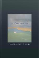 No One To Wake