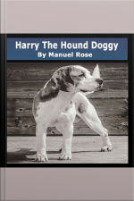 Harry The Hound Doggy