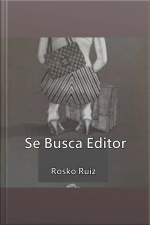 Se Busca Editor