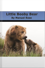 Little Booby Bear