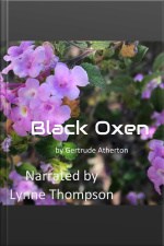 Black Oxen