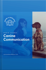 Canine Communication