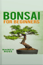 Bonsai For Beginners