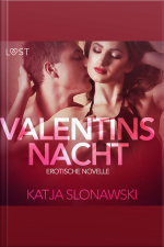 Valentinsnacht: Erotische Novelle