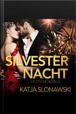 Silvesternacht: Erotische Novelle (ungekürzt)