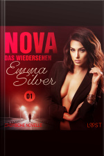 Nova 1 - Das Wiedersehen: Erotische Novelle
