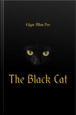 The Black Cat
