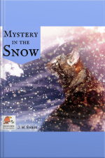 Mystery In The Snow