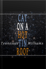 Cat On A Hot Tin Roof