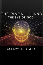 The Pineal Gland - The Eye Of God
