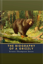 The Biography Of A Grizzly