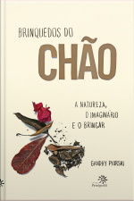 Brinquedos Do Chão: A Natureza, O Imaginário E O Brincar