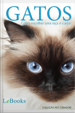Gatos: Como Escolher Uma Raça E Cuidar