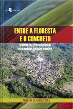 Entre A Floresta E O Concreto: Os Impactos Socioculturais No Povo Indígena Jupaú Em Rondônia