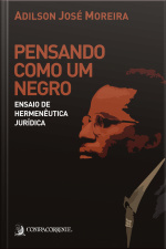Pensando Como Um Negro: Ensaio De Hermenêutica Jurídica