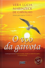 O Voo Da Gaivota