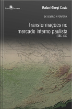 De Centro A Periferia: Transformações No Mercado Interno Paulista (séc. Xix)