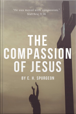 The Compassion Of Jesus