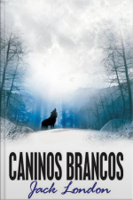 Caninos Brancos