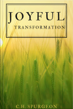 Joyful Transformation