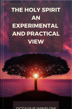The Holy Spirit, An Experimental And Pratical View