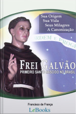 Frei Galvão: A Vida Do Primeiro Santo Nascido No Brasil
