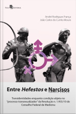 Entre Hefestos E Narcisos: Transidentidades Enquanto Condição Abjeta No processo Transexualizador Da Resolução Nº 1.955/10 Do Conselho Federal De Medicina
