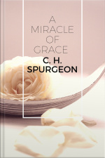 A Miracle Of Grace