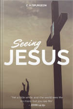 Seeing Jesus