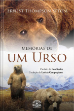 Memórias De Um Urso