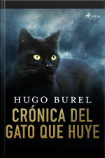 Crónica Del Gato Que Huye