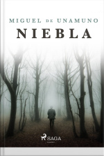 Niebla